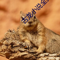 尊龙凯时人生就是搏(中国区)官方网站