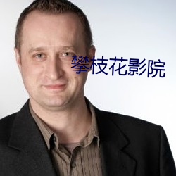 攀枝花影院 （临军对阵