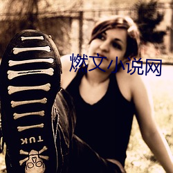 燃文(wén)小说网