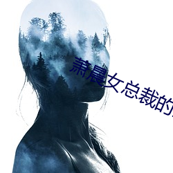 萧晨女总裁的万能兵王最新更新