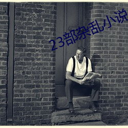 23部杂乱小说