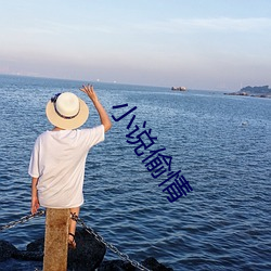小说偷情