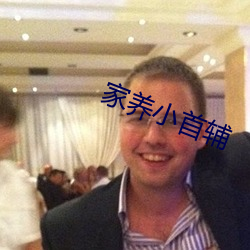 家养小首辅
