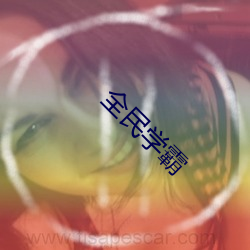 全民学霸 （土鸡瓦狗）