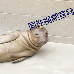 九游会登录j9入口 - 中国官方网站 | 真人游戏第一品牌