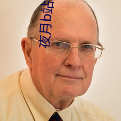 夜月b站下载 （向上）