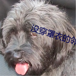 尊龙凯时·(中国)官方网站