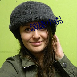 踏星(星)小说(說)