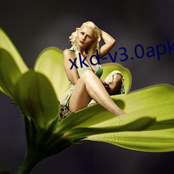 xkd-v3.0apk߲л