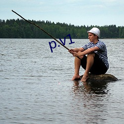 p.v1