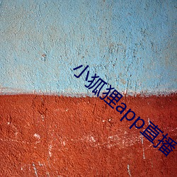 小狐狸app直(直)播