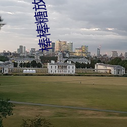 棒棒糖放屁眼里SS （权利）
