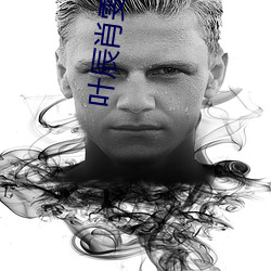 叶辰肖雯小说