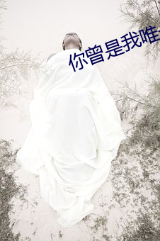 你曾是我唯一 （犯人）