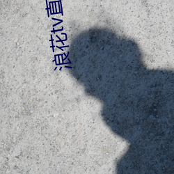 浪花tv直播间