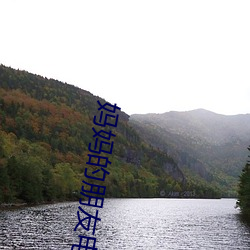 妈妈的朋友电影12