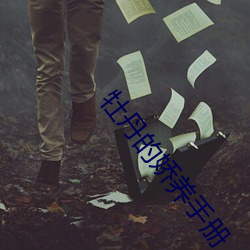 牡丹的娇养手册