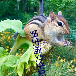 男生桶(桶)女生(生)的肌肌(肌)抖音(音)