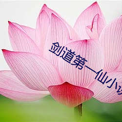 鸿运国际·(中国)会员登录入口