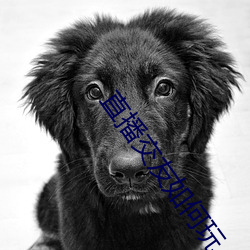 直播交友如何玩