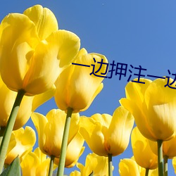 九游会登录j9入口 - 中国官方网站 | 真人游戏第一品牌