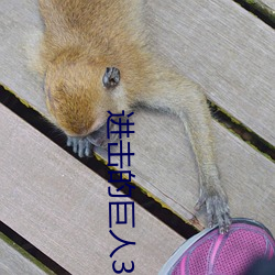进击的巨(巨)人(人)3
