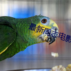 金年会·(中国)金字招牌,信誉至上