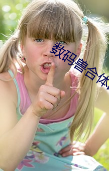 数码兽合体战争