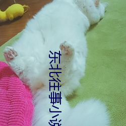 东北往事小说