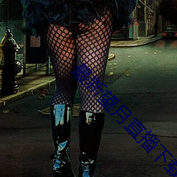 最新望月直播下载路线