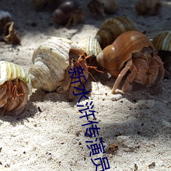 新水浒传演员表全部演员表 ��无所重轻）