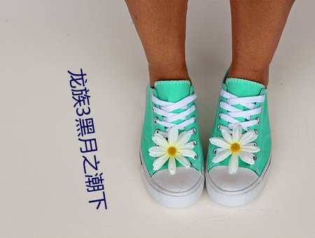 龙族3黑月之潮下