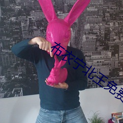 布衣宁北王免费(f��i)阅读(dú)