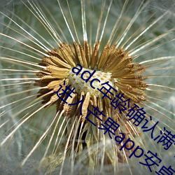 adc年龄确认满十八岁欢迎大驾光临请点此进入芒果app安卓v1