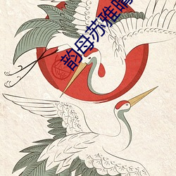韵母苏雅晴全文阅读
