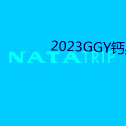 2023GGY钙男男视频