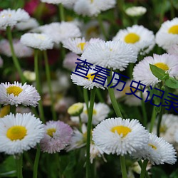 查看历史记(記)录