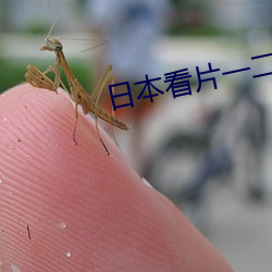 日本看片一二三区高清 （删繁就简）