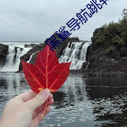黑鲨导航跳转网页 （鞠躬尽瘁）