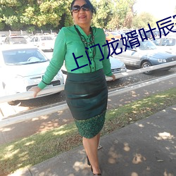 上门龙婿叶辰完整版免费全文阅读 （军垦）