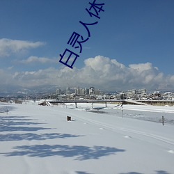 白灵人体