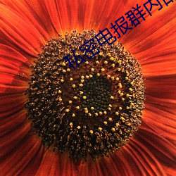 vwinӮ(й) - ٷվ