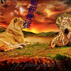 陇南电影院