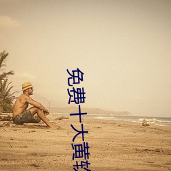 免费十(十)大(大)黄(黃)软件