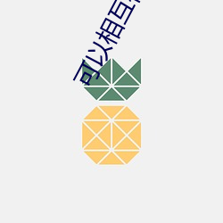 可以相互视频聊天的软件