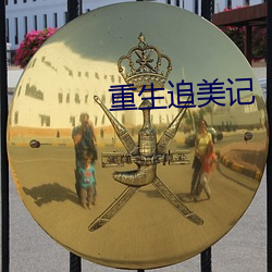 重生追美记