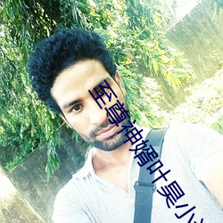 至尊神婿葉昊小說免費完整版