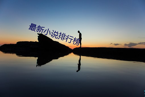 最新小說排行榜