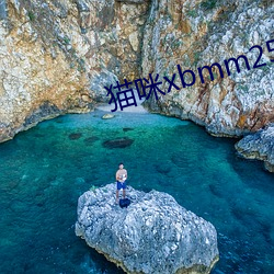 猫咪xbmm25 （结业）