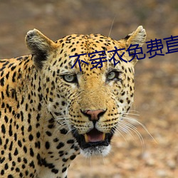 金年会(中国)官方网站